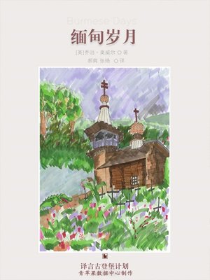 cover image of 缅甸岁月